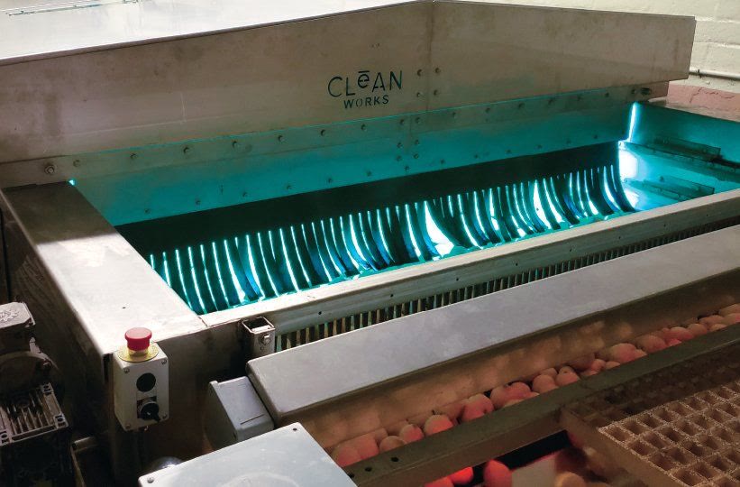 UV-C lamps illuminating a Clean Works treatment chamber above a peach line