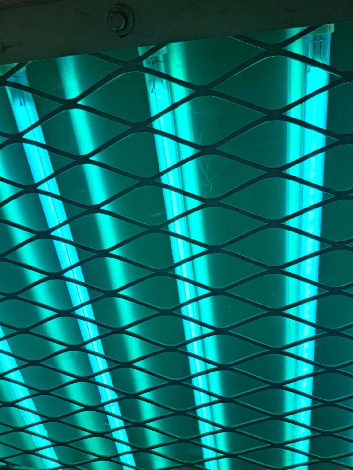 UV-C lamps glowing behind the guard mesh inside a Clean Works treatment chamber
